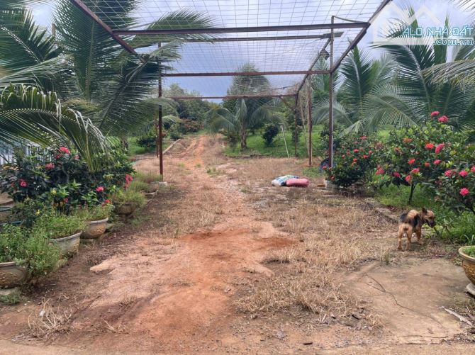B.án 7300m2.+3000m2 giấy tay. Tc (1 ha). Có 300m2 Thổ Cư. Với 54m Mặt Tiền Đường Bê Tông. - 1