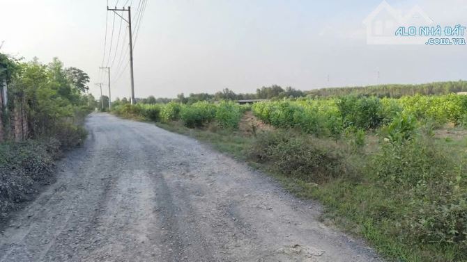 👉 BÁN 31,000m2 (3 mẫu 1 ) quy hoạch đất skc (3 mặt tiền) Khu vực xã hố Nai 3 sát bên kcn - 1