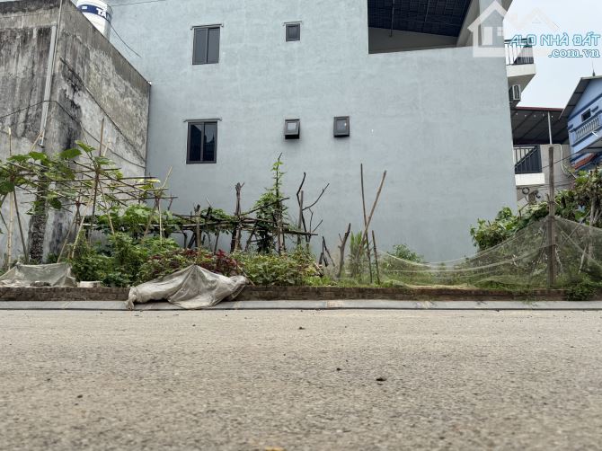 BÁN LÔ ĐẤT SIÊU ĐẸP – 124M² – MẶT TIỀN 8M – 2 MẶT THOÁNG – MAI CHÂU, ĐẠI MẠCH, ĐÔNG ANH - 1