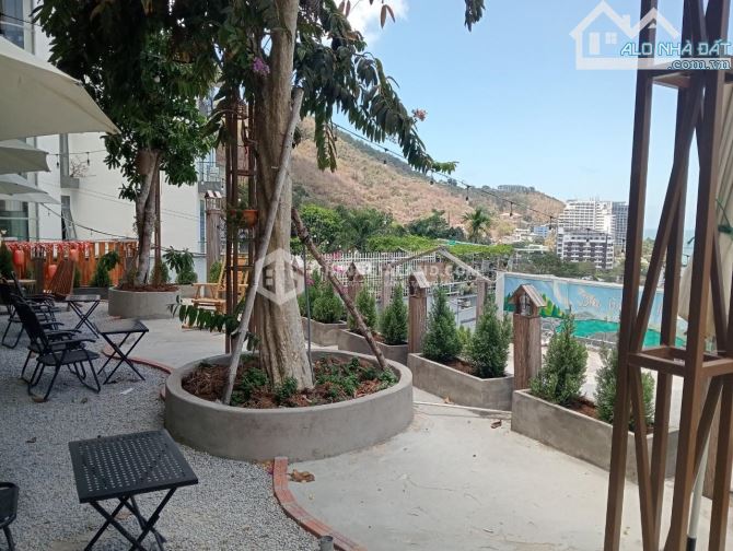 Bán đất khu nghỉ dưỡng Trần Phú, Phường 5 - Diện tích 37x37m (1156m2), View biển, 57.8 tỷ - 1