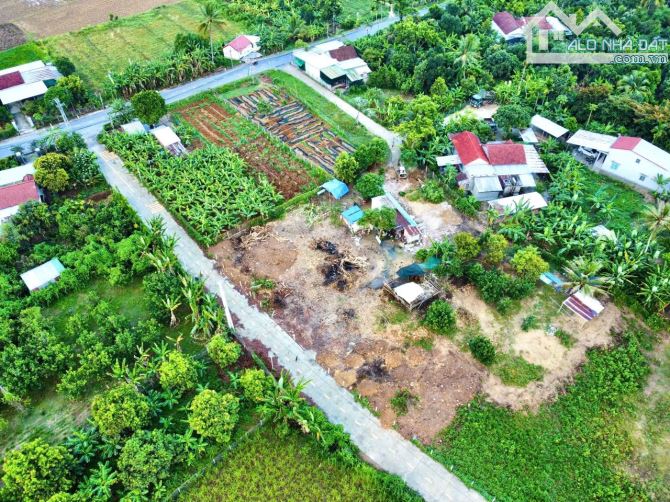 Bán đất Diên Lâm mặt đường bê tông rộng 8m ngay sát bên Hương Lộ 39 - 1