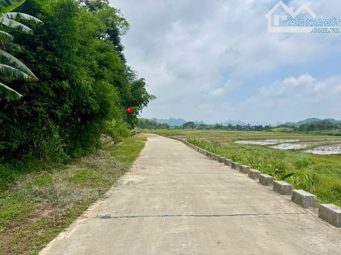 781m Full Đất Ở Phân Lô Đẹp - View Cánh Đồng - Cách Suối Khoáng Nóng Kim Bôi 4km - 1