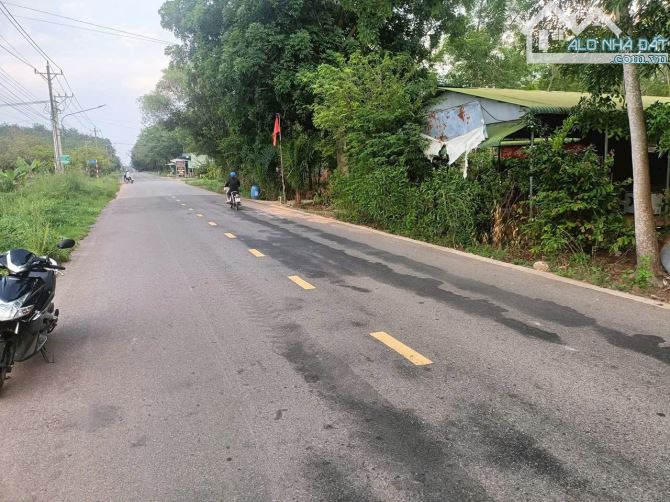 Bán gấp đất mặt tiền nhựa 1000m2 100tc dân đông, thông Đt744 Dh704 giá cực rẻ 7xxtr - 1