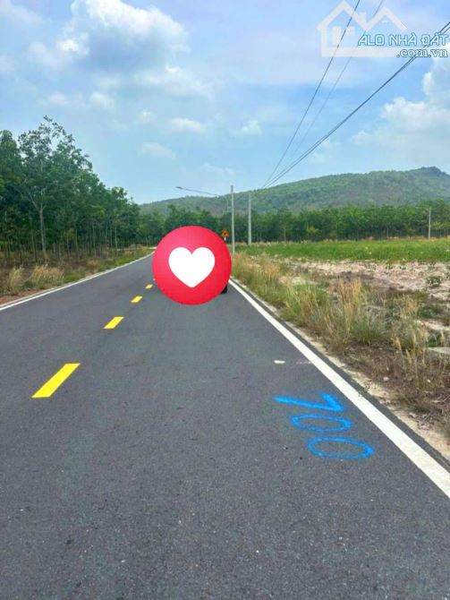 Đất ngộp THANH AN HỚN QUẢN 10X50m CÓ 200 THỔ GIÁ 450 TRIỆU,ĐƯỜNG 18m - 1