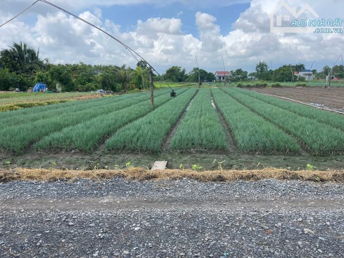 Bán 1800m2 vườn có 130m thổ cư xã Long Trạch, Cần Đước - 1