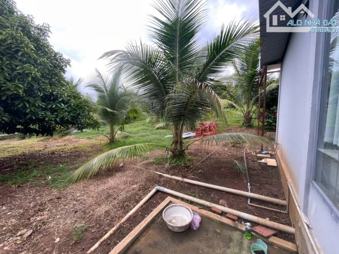 B.án 7300m2.+3000m2 giấy tay. Tc (1 ha). Có 300m2 Thổ Cư. Với 54m Mặt Tiền Đường Bê Tông. - 12