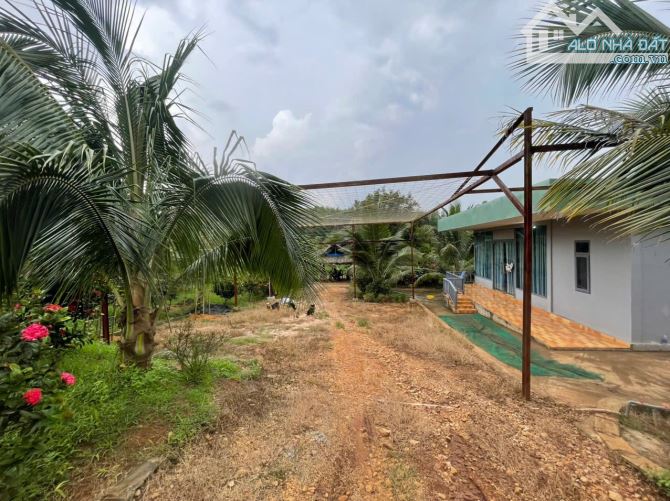B.án 7300m2.+3000m2 giấy tay. Tc (1 ha). Có 300m2 Thổ Cư. Với 54m Mặt Tiền Đường Bê Tông. - 17