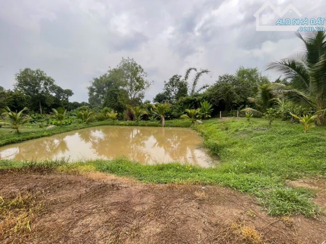 B.án 7300m2.+3000m2 giấy tay. Tc (1 ha). Có 300m2 Thổ Cư. Với 54m Mặt Tiền Đường Bê Tông. - 2