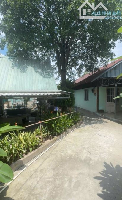 BÁN ĐẤT TẶNG DÃY TRỌ, LINH XUÂN, THỦ ĐỨC 1172M2 14 PHÒNG+ CĂN NHÀ C4 - GIÁ 50 TỶ - 1