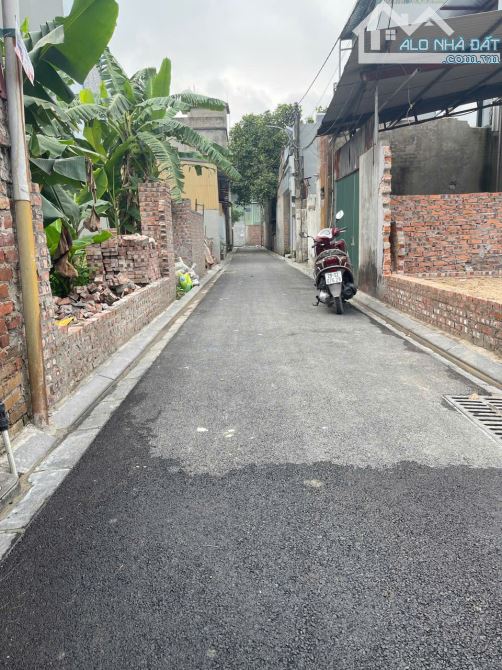 Bán đất Hà Lâm 2 Thụy Lâm Đông Anh 100M - 2