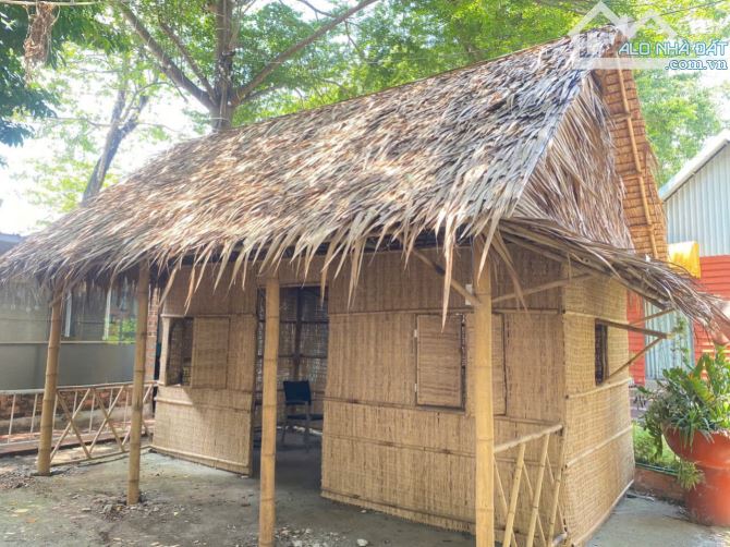 Bán đất 407m2 đang cho thuê làm cafe sân vườn 6tr/tháng ở Gò Dầu - Tây Ninh giá 680 triệu. - 2