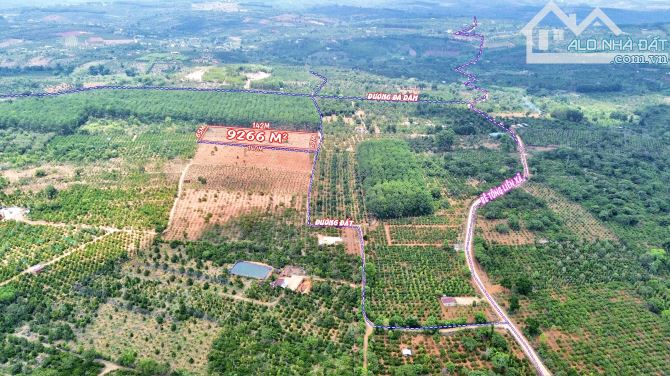 ✨ Gần 1 HA GÓC MẶT TIỀN, Sổ Vuông Đẹp, Điện sát bên Nước giếng khoang, Ôtô tới đất - 929TR - 2