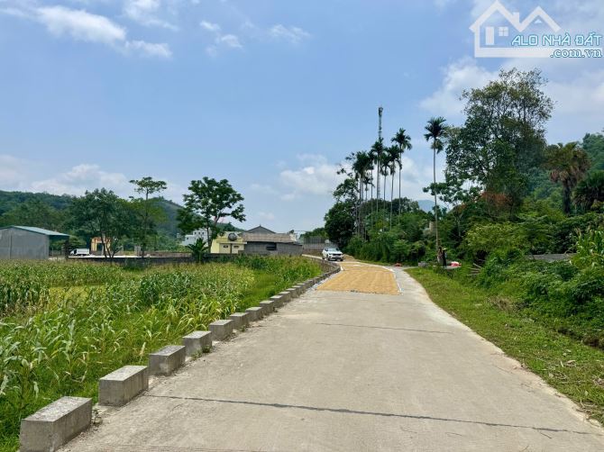 781m Full Đất Ở Phân Lô Đẹp - View Cánh Đồng - Cách Suối Khoáng Nóng Kim Bôi 4km - 2