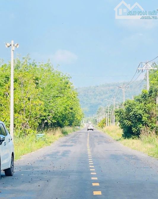 Bán gấp đất mặt tiền nhựa 1000m2 100tc dân đông, thông Đt744 Dh704 giá cực rẻ 7xxtr - 2