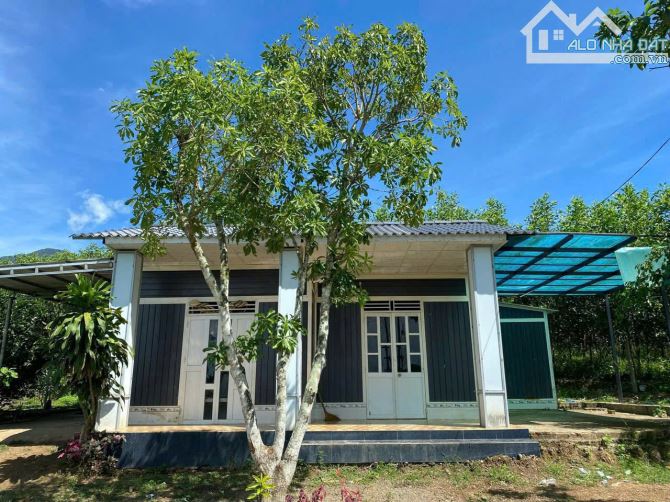 Nhà vườn cực đẹp khánh trung khánh vĩnh - 2
