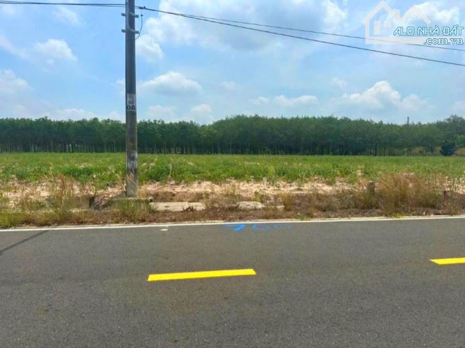 Đất ngộp THANH AN HỚN QUẢN 10X50m CÓ 200 THỔ GIÁ 450 TRIỆU,ĐƯỜNG 18m - 2