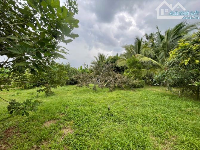 B.án 7300m2.+3000m2 giấy tay. Tc (1 ha). Có 300m2 Thổ Cư. Với 54m Mặt Tiền Đường Bê Tông. - 24