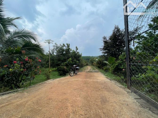 B.án 7300m2.+3000m2 giấy tay. Tc (1 ha). Có 300m2 Thổ Cư. Với 54m Mặt Tiền Đường Bê Tông. - 25