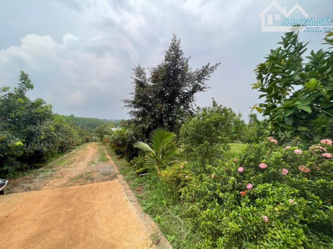 B.án 7300m2.+3000m2 giấy tay. Tc (1 ha). Có 300m2 Thổ Cư. Với 54m Mặt Tiền Đường Bê Tông. - 26