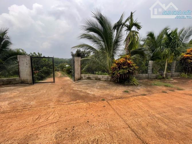 B.án 7300m2.+3000m2 giấy tay. Tc (1 ha). Có 300m2 Thổ Cư. Với 54m Mặt Tiền Đường Bê Tông. - 28