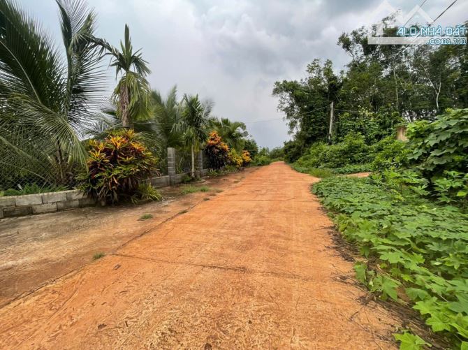 B.án 7300m2.+3000m2 giấy tay. Tc (1 ha). Có 300m2 Thổ Cư. Với 54m Mặt Tiền Đường Bê Tông. - 29