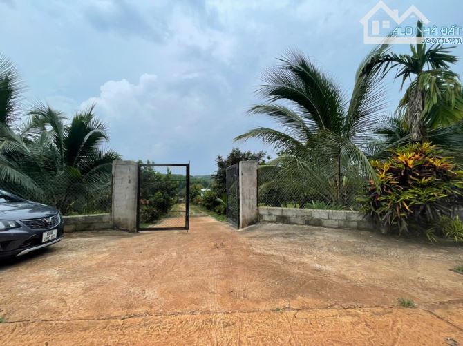 B.án 7300m2.+3000m2 giấy tay. Tc (1 ha). Có 300m2 Thổ Cư. Với 54m Mặt Tiền Đường Bê Tông. - 30