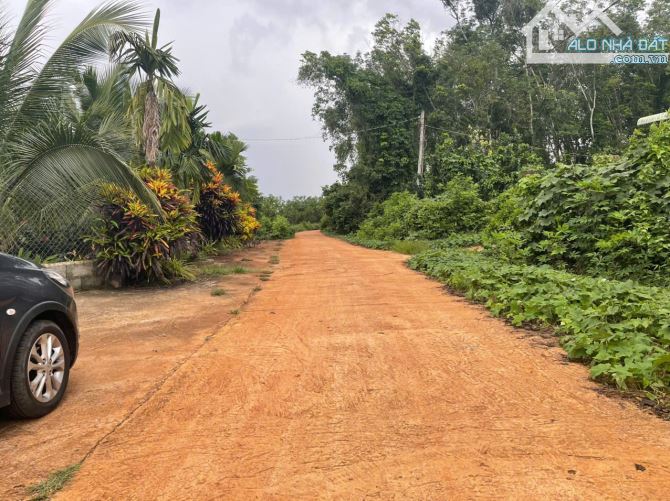 B.án 7300m2.+3000m2 giấy tay. Tc (1 ha). Có 300m2 Thổ Cư. Với 54m Mặt Tiền Đường Bê Tông. - 31