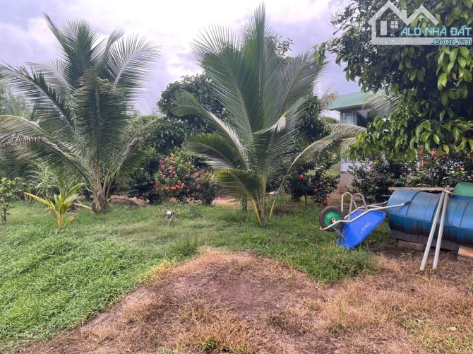 B.án 7300m2.+3000m2 giấy tay. Tc (1 ha). Có 300m2 Thổ Cư. Với 54m Mặt Tiền Đường Bê Tông. - 3