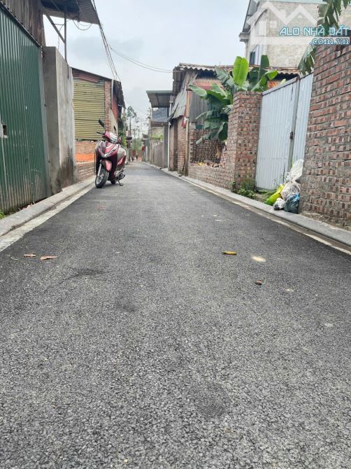Bán đất Hà Lâm 2 Thụy Lâm Đông Anh 100M - 3
