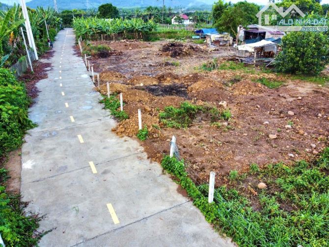 Bán đất Diên Lâm mặt đường bê tông rộng 8m ngay sát bên Hương Lộ 39 - 3