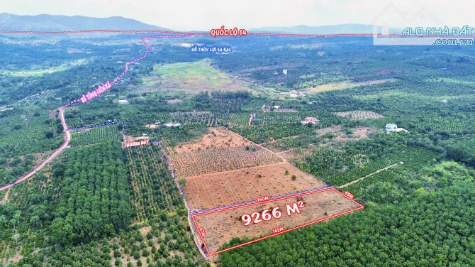 ✨ Gần 1 HA GÓC MẶT TIỀN, Sổ Vuông Đẹp, Điện sát bên Nước giếng khoang, Ôtô tới đất - 929TR - 3