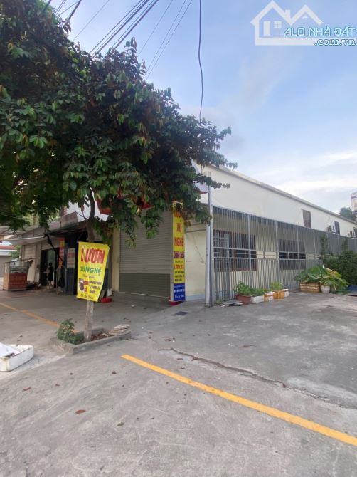 Bán Đất Tặng Dãy Nhà Trọ Cho Thuê Mặt Đường 27m HOÀNG VĂN THỤ-P.CHÂU SƠN-TP PHỦ LÝ - 3