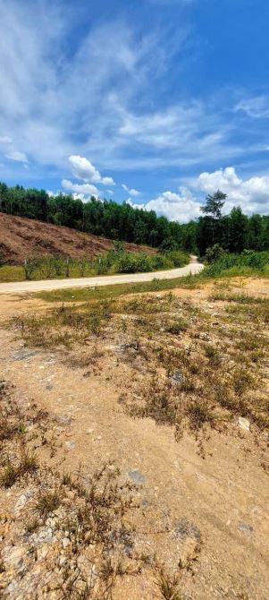 Bán 3 lô đất vườn view suối đẹp . DT từ 1600-2200m2 , đường betong . Giá bán 350 triệu/lô - 3