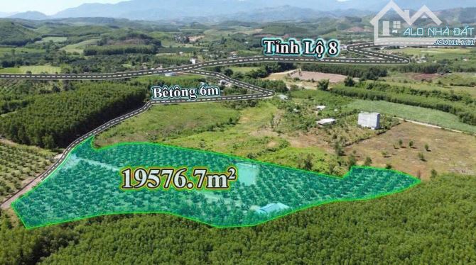 Nhà vườn cực đẹp khánh trung khánh vĩnh - 3