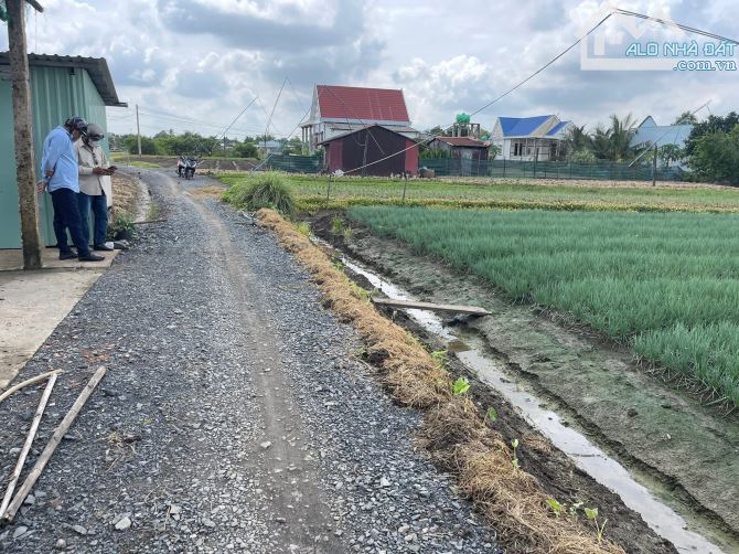 Bán 1800m2 vườn có 130m thổ cư xã Long Trạch, Cần Đước - 3