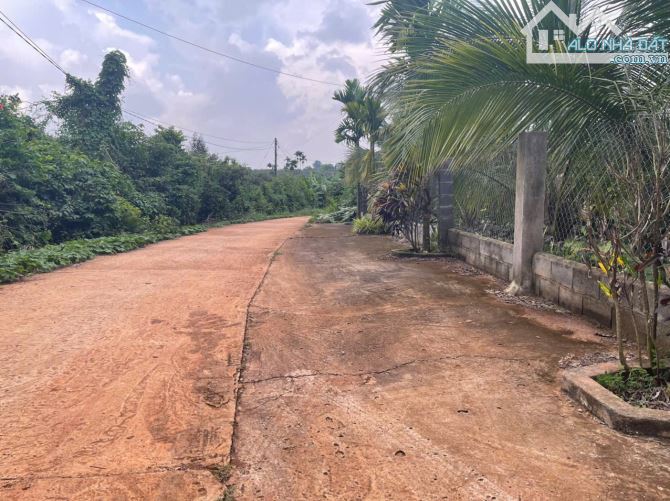 B.án 7300m2.+3000m2 giấy tay. Tc (1 ha). Có 300m2 Thổ Cư. Với 54m Mặt Tiền Đường Bê Tông. - 32