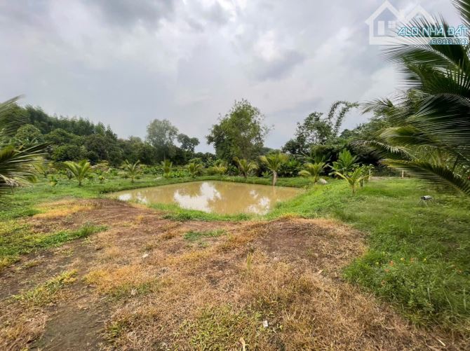 B.án 7300m2.+3000m2 giấy tay. Tc (1 ha). Có 300m2 Thổ Cư. Với 54m Mặt Tiền Đường Bê Tông. - 4