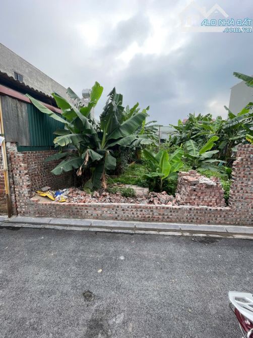 Bán đất Hà Lâm 2 Thụy Lâm Đông Anh 100M - 4