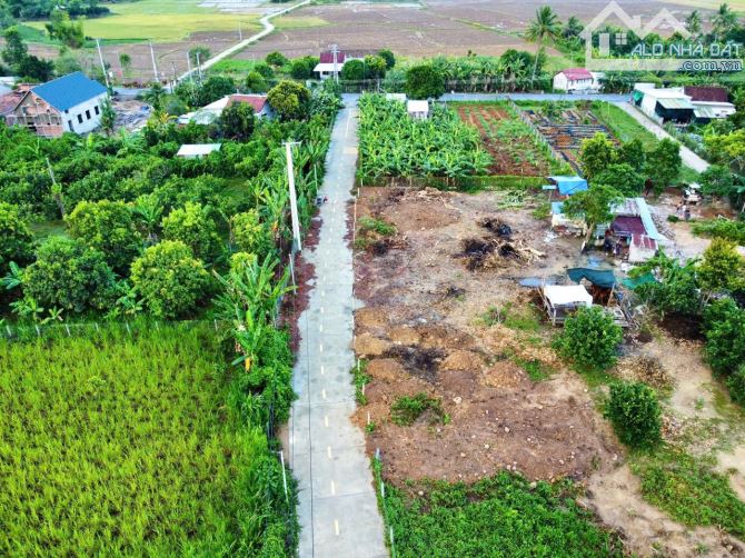 Bán đất Diên Lâm mặt đường bê tông rộng 8m ngay sát bên Hương Lộ 39 - 4