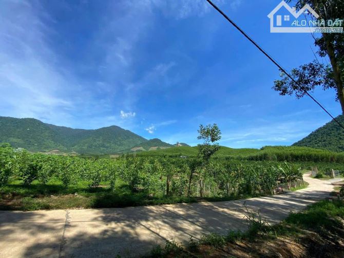Nhà vườn cực đẹp khánh trung khánh vĩnh - 4