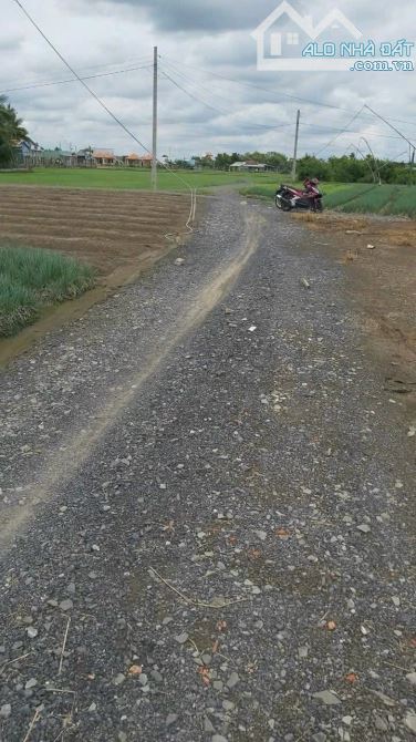 Bán 1800m2 vườn có 130m thổ cư xã Long Trạch, Cần Đước - 4