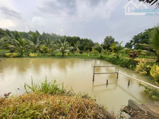 B.án 7300m2.+3000m2 giấy tay. Tc (1 ha). Có 300m2 Thổ Cư. Với 54m Mặt Tiền Đường Bê Tông. - 5