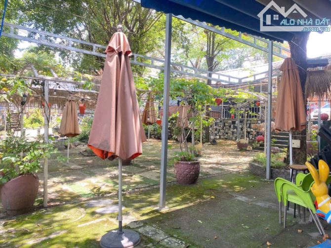 Bán đất 407m2 đang cho thuê làm cafe sân vườn 6tr/tháng ở Gò Dầu - Tây Ninh giá 680 triệu. - 5