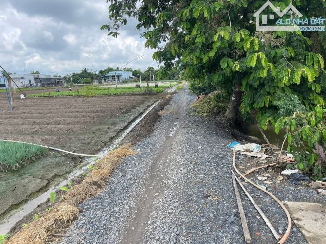 Bán 1800m2 vườn có 130m thổ cư xã Long Trạch, Cần Đước - 5