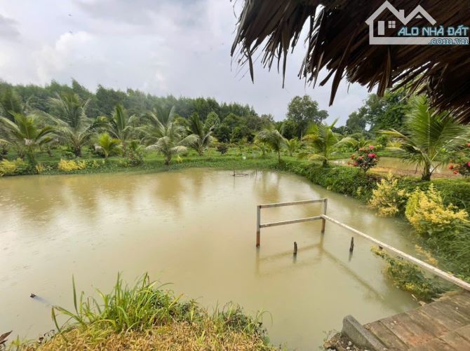 B.án 7300m2.+3000m2 giấy tay. Tc (1 ha). Có 300m2 Thổ Cư. Với 54m Mặt Tiền Đường Bê Tông. - 6