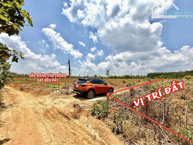 ✨ Gần 1 HA GÓC MẶT TIỀN, Sổ Vuông Đẹp, Điện sát bên Nước giếng khoang, Ôtô tới đất - 929TR - 6