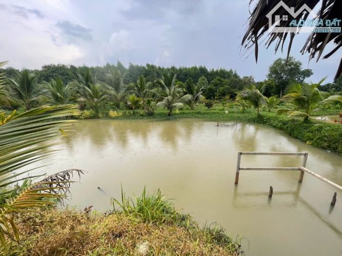 B.án 7300m2.+3000m2 giấy tay. Tc (1 ha). Có 300m2 Thổ Cư. Với 54m Mặt Tiền Đường Bê Tông. - 7