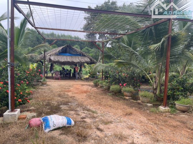 B.án 7300m2.+3000m2 giấy tay. Tc (1 ha). Có 300m2 Thổ Cư. Với 54m Mặt Tiền Đường Bê Tông. - 9