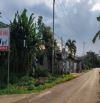 Bán đất  Mặt  Tiền, Thổ Cư 278m2 Ngay Chợ, Kế Cổng vào KCN Dầu Giây Chỉ 2.65 tỷ