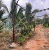 B.án 7300m2.+3000m2 giấy tay. Tc (1 ha). Có 300m2 Thổ Cư. Với 54m Mặt Tiền Đường Bê Tông.